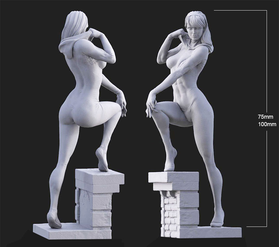 1/24 75 mm 1/18 100 mm Harzmod – Resin Art Zelda Bewertung und Preis